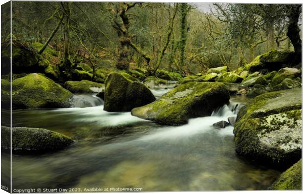 Dewerstone Wood Canvas Print by Stuart Day