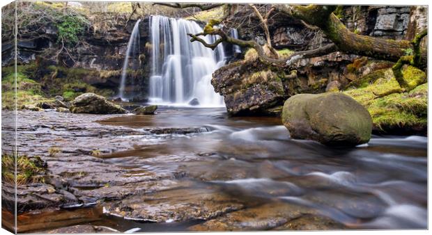 East Gill Force Keld Canvas Print by Tim Hill