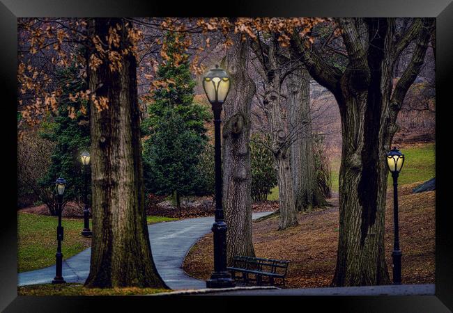 Underneath The Lamplight Framed Print by Chris Lord