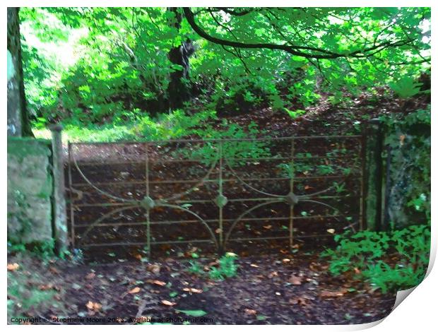 Old farm gate Print by Stephanie Moore