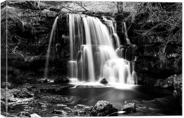 East Gill Force Mono Canvas Print by Steve Smith