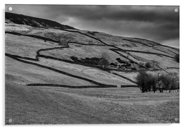 Swaledale Countryside Black and White Acrylic by Tim Hill