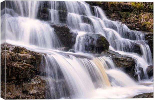 East Gill Force Waterfall Canvas Print by Tim Hill