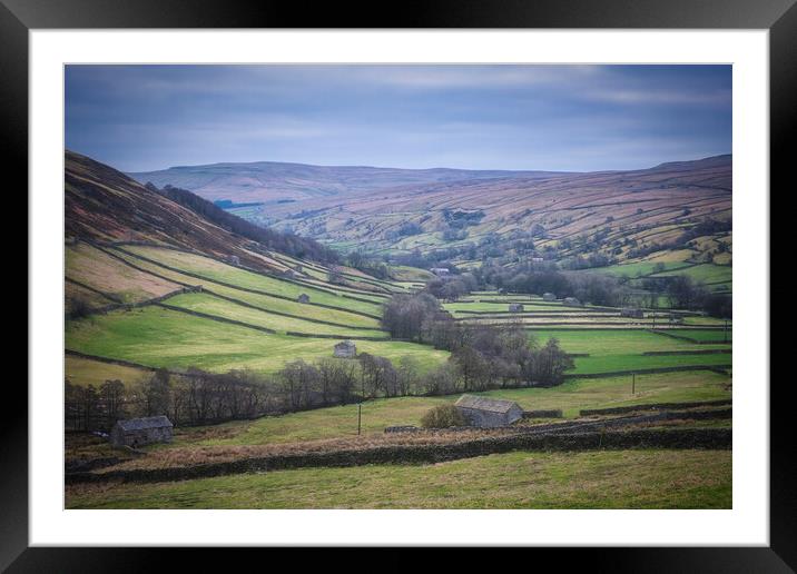 Swaledale Landscape View Framed Mounted Print by Tim Hill
