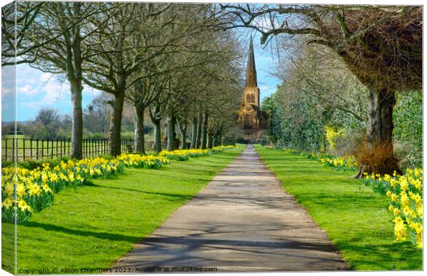 Wentworth Woodhouse Village Church Canvas Print by Alison Chambers