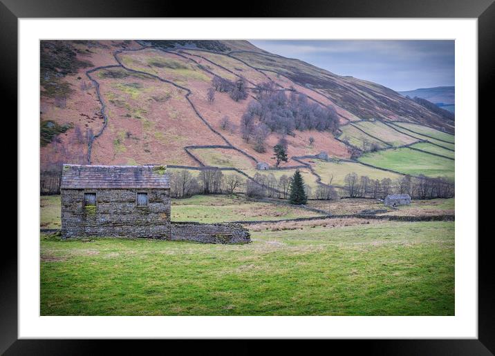 Majestic Swaledale Landscape Framed Mounted Print by Tim Hill