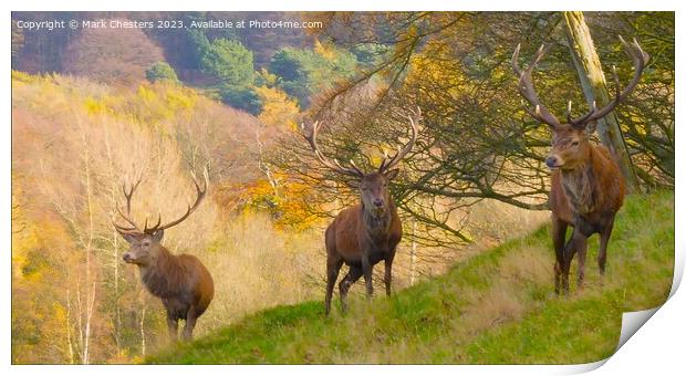 Majestic Red Deer in Autumn Field Print by Mark Chesters