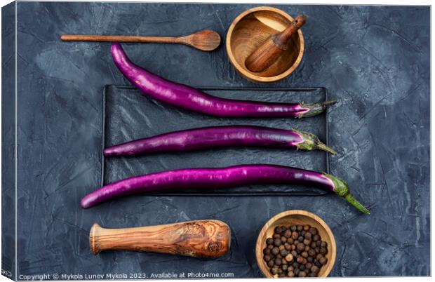 Fresh purple Asian eggplants Canvas Print by Mykola Lunov Mykola