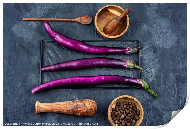 Fresh purple Asian eggplants Print by Mykola Lunov Mykola