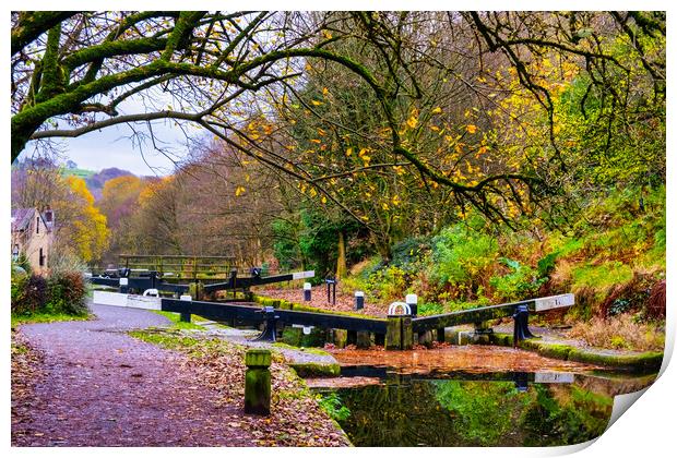 Serene Charm of Rochdale Canal Print by Steve Smith