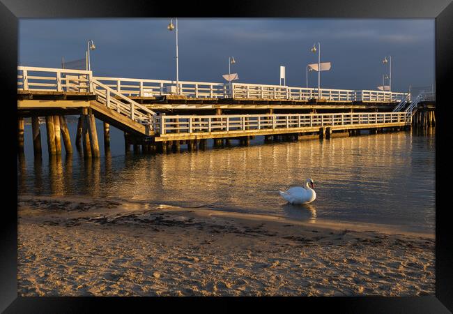 Sopot Pier At Sunrise In Poland Framed Print by Artur Bogacki