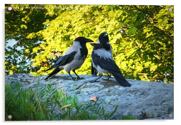 Family of Hooded Crows Acrylic by Taina Sohlman