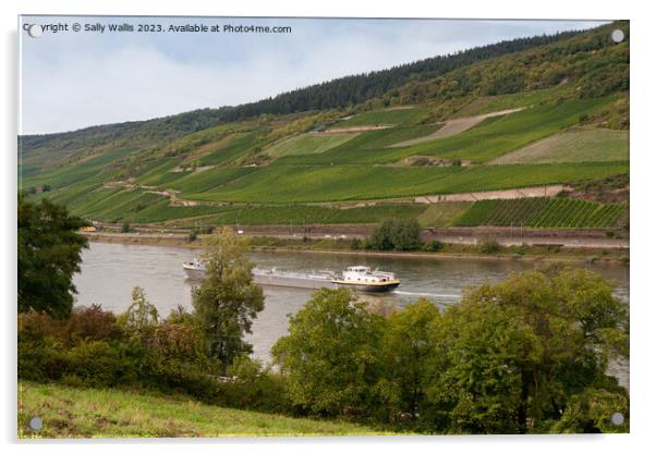 Freighter on the Rhine Acrylic by Sally Wallis