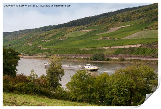 Freighter on the Rhine Print by Sally Wallis
