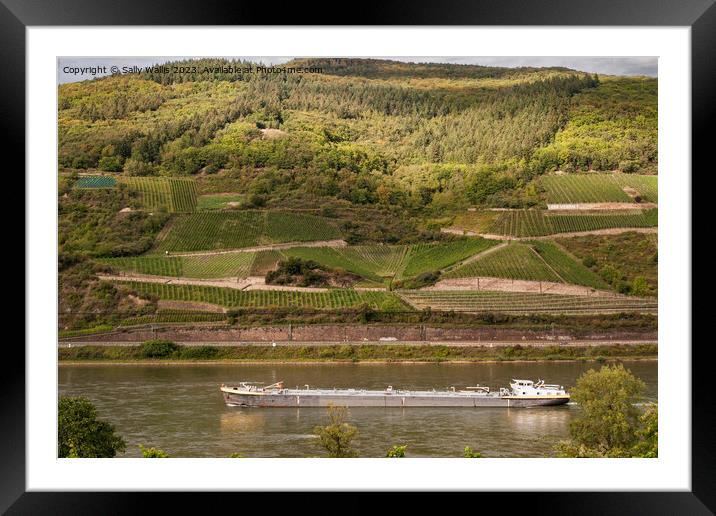 Vineyards along the Rhine Framed Mounted Print by Sally Wallis
