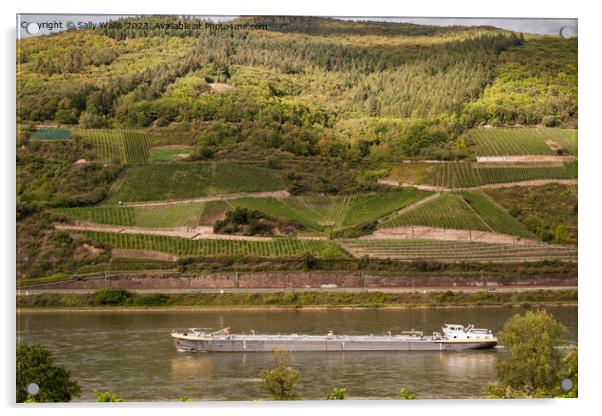 Vineyards along the Rhine Acrylic by Sally Wallis