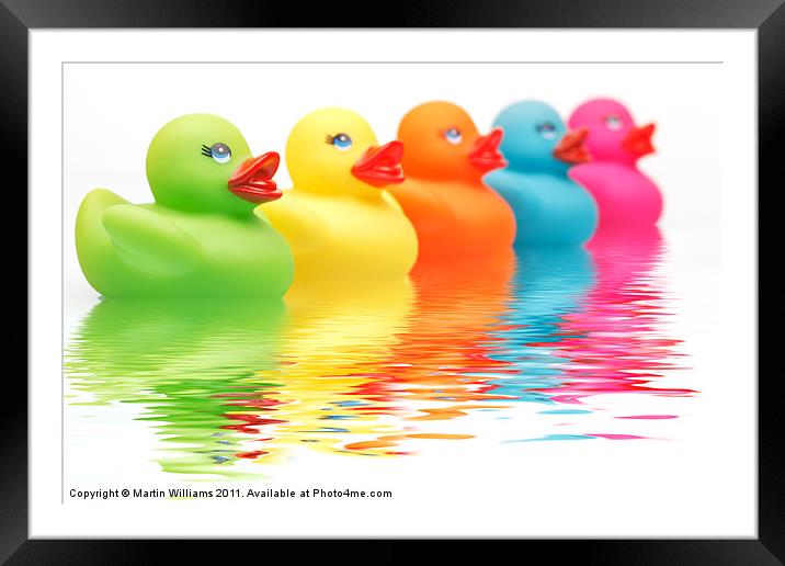 Rainbow Ducks Framed Mounted Print by Martin Williams