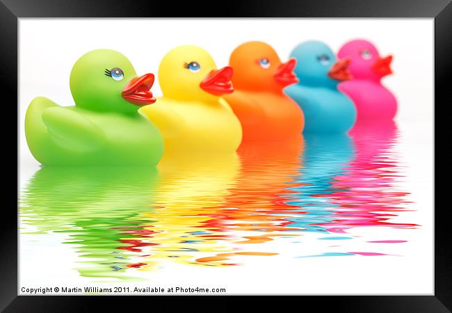 Rainbow Ducks Framed Print by Martin Williams