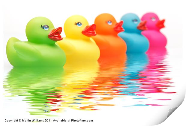 Rainbow Ducks Print by Martin Williams