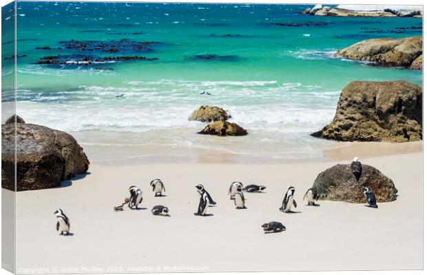 Penguins at Boulders Beach, near Cape Town Canvas Print by Justin Foulkes