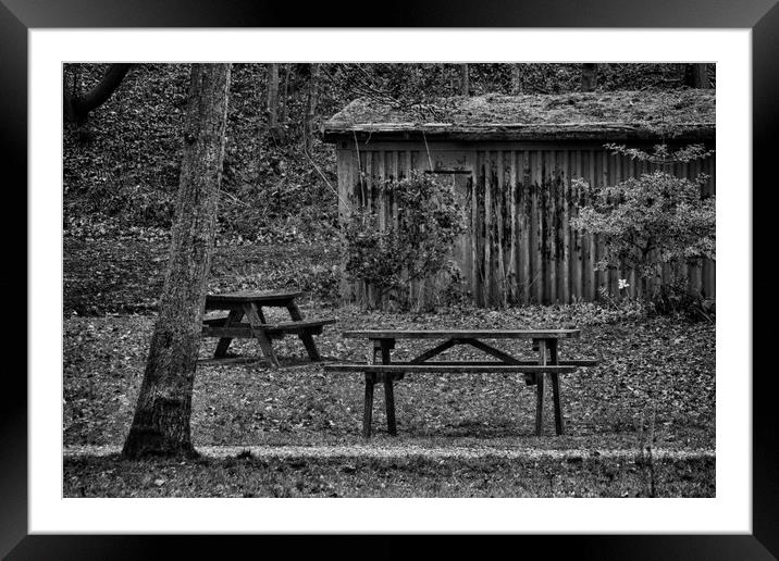 Picnic Bench and Tables Framed Mounted Print by Glen Allen