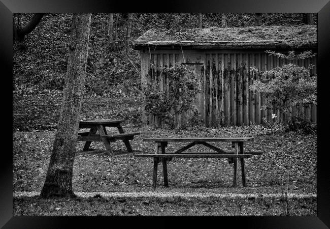 Picnic Bench and Tables Framed Print by Glen Allen