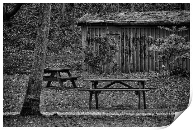 Picnic Bench and Tables Print by Glen Allen