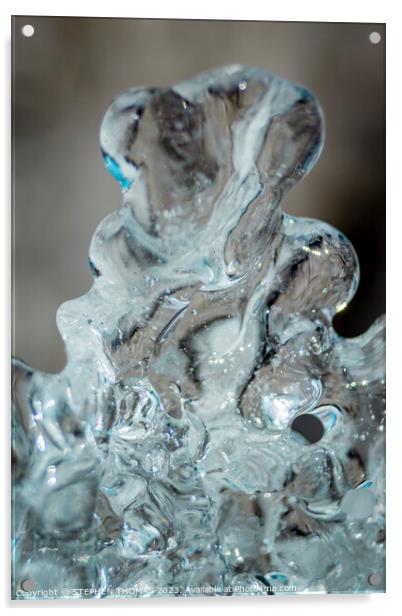 Ice Bear Acrylic by STEPHEN THOMAS