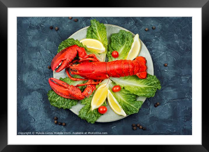 Cooked whole red lobster with fresh lettuce Framed Mounted Print by Mykola Lunov Mykola