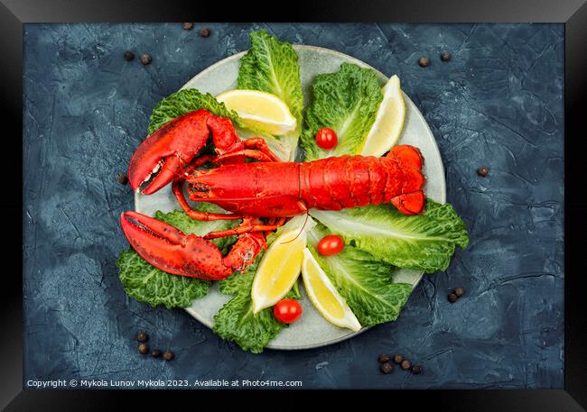 Cooked whole red lobster with fresh lettuce Framed Print by Mykola Lunov Mykola