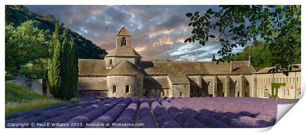 The truly magical Senanque Abbey surrounded by flowering lavender Print by Paul E Williams