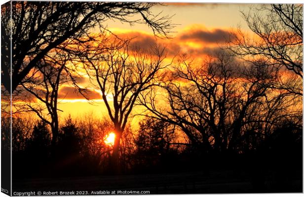  Trees with a sunset in the background with a colo Canvas Print by Robert Brozek