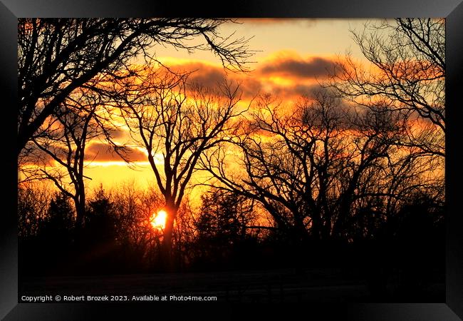  Trees with a sunset in the background with a colo Framed Print by Robert Brozek
