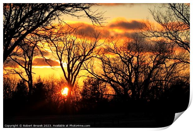  Trees with a sunset in the background with a colo Print by Robert Brozek