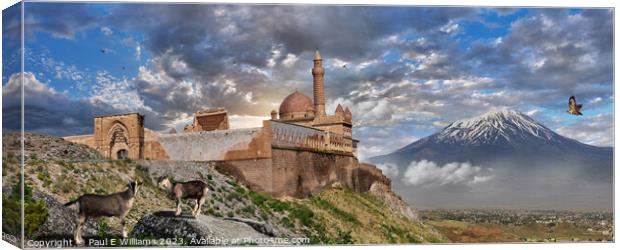 The Romantic Ottoman Ishak Pasha Palace ruins and Mount Ararat Canvas Print by Paul E Williams