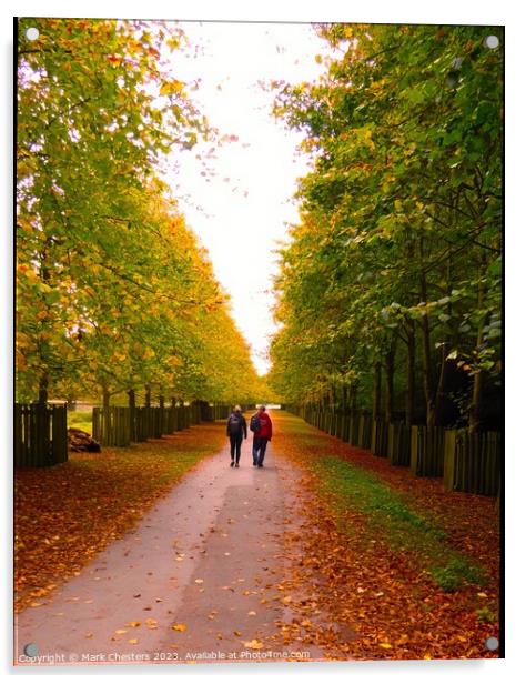 A Romantic Stroll Acrylic by Mark Chesters