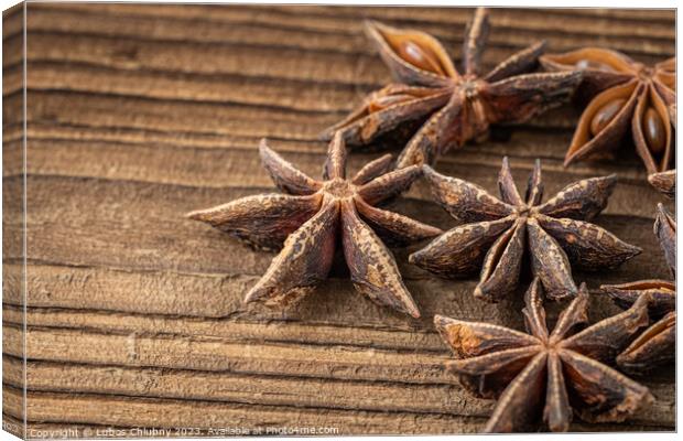 Dried star anise spice on vintage wooden board Canvas Print by Lubos Chlubny