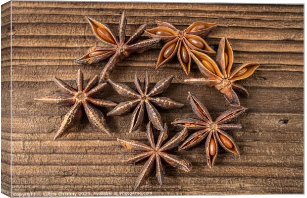 Dried star anise spice on vintage wooden board Canvas Print by Lubos Chlubny