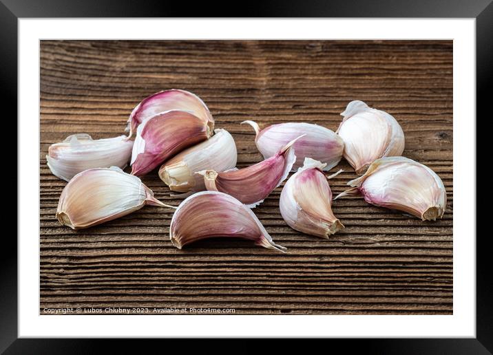Garlic on dark rustic wooden background. Framed Mounted Print by Lubos Chlubny