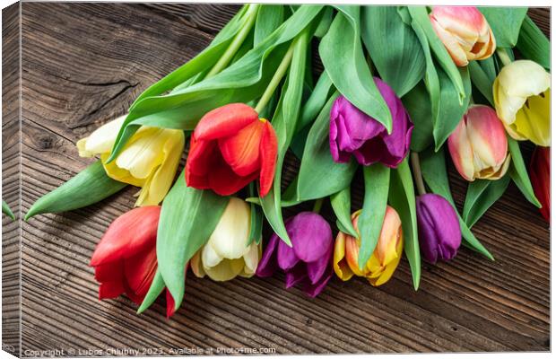 Colorful tulips on wooden table Canvas Print by Lubos Chlubny