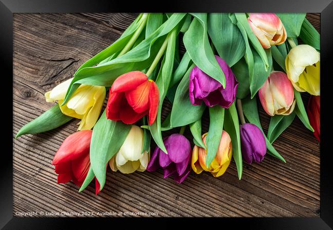 Colorful tulips on wooden table Framed Print by Lubos Chlubny