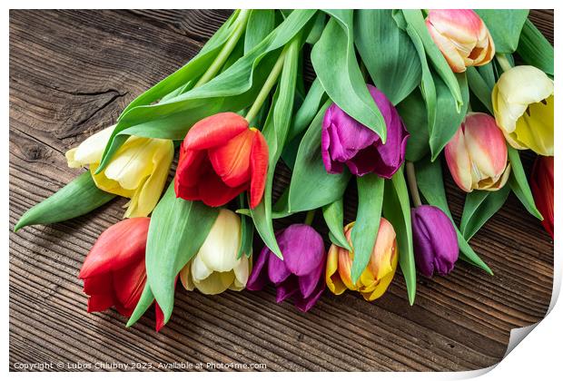 Colorful tulips on wooden table Print by Lubos Chlubny