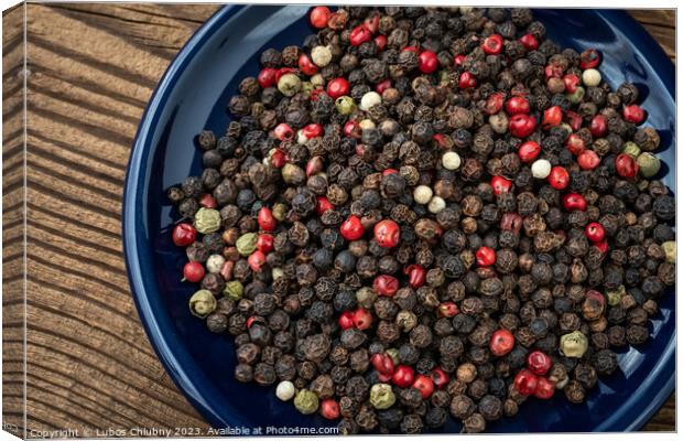 Multicolored pepper corns, mix of colorful grains Canvas Print by Lubos Chlubny