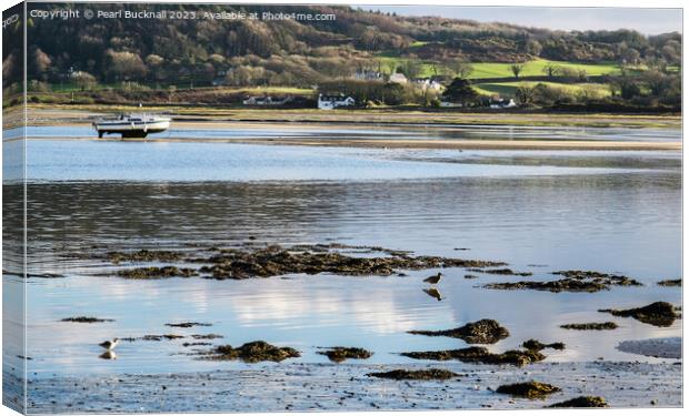 Feeding in the Shallows Red Wharf Bay Anglesey Canvas Print by Pearl Bucknall