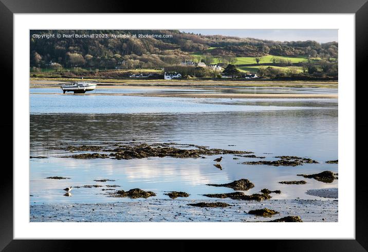 Feeding in the Shallows Red Wharf Bay Anglesey Framed Mounted Print by Pearl Bucknall
