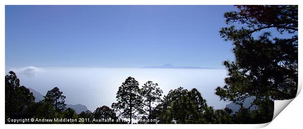 View Of Tenerife Print by Andrew Middleton