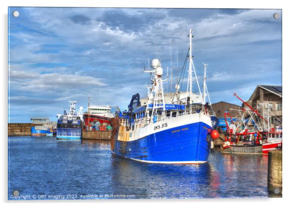 MacDuff Town Harbour Reflection Aberdeenshire Scotland  Ocean Rose INS115 Acrylic by OBT imaging