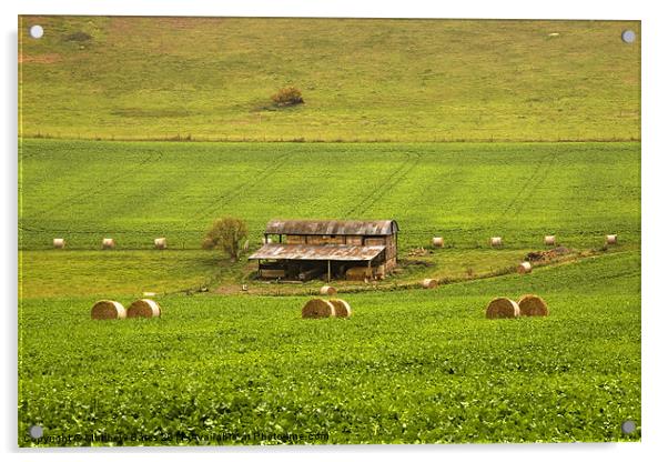 Farmland Scene. Acrylic by Matthew Bates