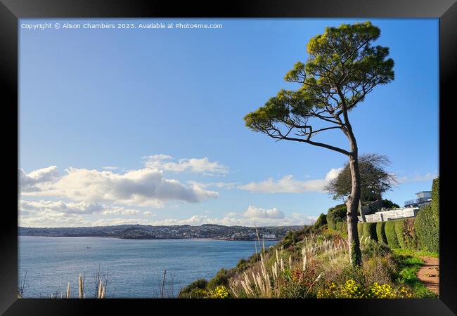 South West Coast Path Framed Print by Alison Chambers