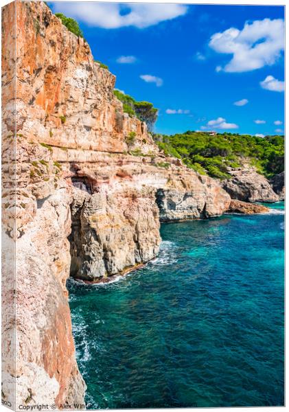 Coastline Spain Majorca Canvas Print by Alex Winter